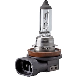 Halogenglühlampe H11-24V/70W-Pgj19-2i